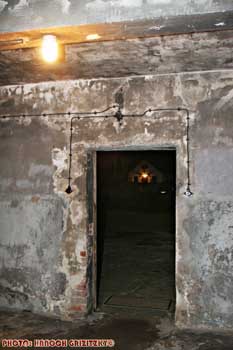 IMG_ (11850)